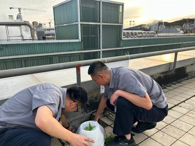 凝“青”聚能——青島卷煙廠卷包車間打造 “青年+安全生產(chǎn)”示范工程:鋼板樁生產(chǎn)廠
